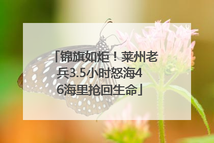 锦旗如炬！莱州老兵3.5小时怒海46海里抢回生命