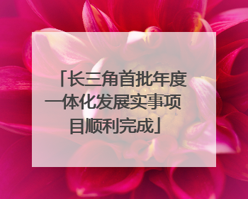 长三角首批年度一体化发展实事项目顺利完成