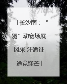 长沙南：“羽”动赛场展风采 汗洒征途竞锋芒