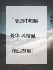 陇原巾帼展芳华 科技赋能促发展