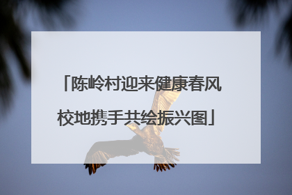 陈岭村迎来健康春风 校地携手共绘振兴图