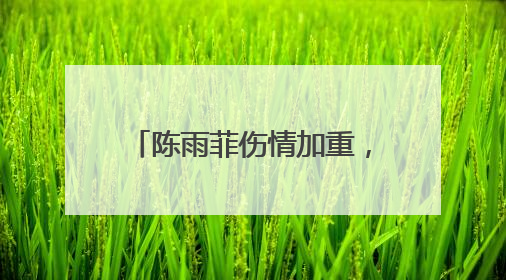 陈雨菲伤情加重，退出印尼公开赛