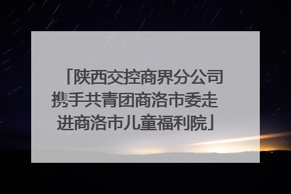 陕西交控商界分公司携手共青团商洛市委走进商洛市儿童福利院
