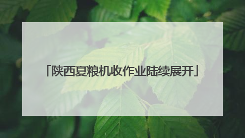 陕西夏粮机收作业陆续展开