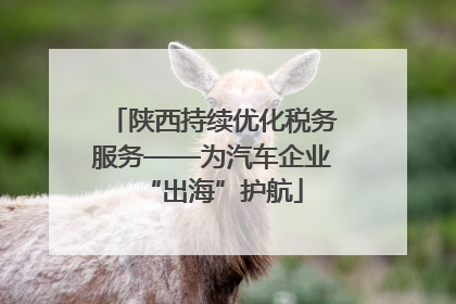 陕西持续优化税务服务——为汽车企业“出海”护航