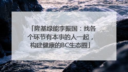 隆基绿能李振国：找各个环节有本事的人一起，构建健康的BC生态圈