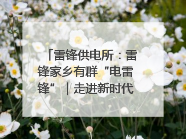 雷锋供电所：雷锋家乡有群“电雷锋”｜走进新时代“雷锋传人 长沙榜样”