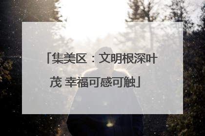 集美区：文明根深叶茂 幸福可感可触