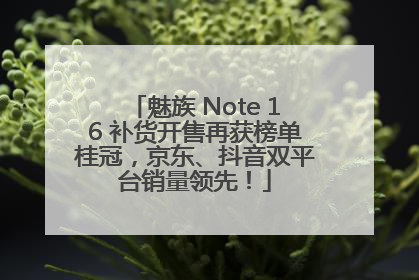 魅族 Note 16 补货开售再获榜单桂冠，京东、抖音双平台销量领先！