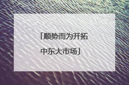 顺势而为开拓中东大市场