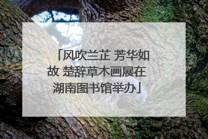 风吹兰芷 芳华如故 楚辞草木画展在湖南图书馆举办