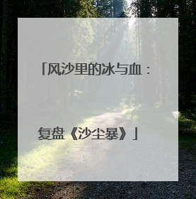 风沙里的冰与血：复盘《沙尘暴》