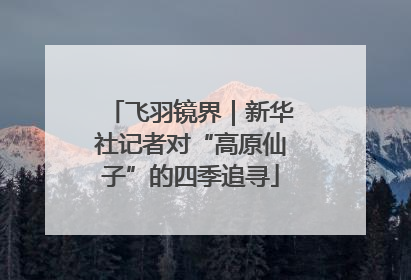 飞羽镜界｜新华社记者对“高原仙子”的四季追寻
