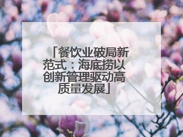 餐饮业破局新范式：海底捞以创新管理驱动高质量发展