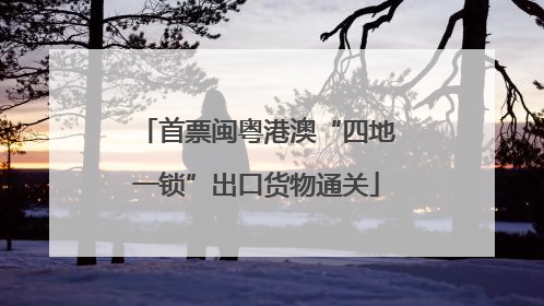 首票闽粤港澳“四地一锁”出口货物通关