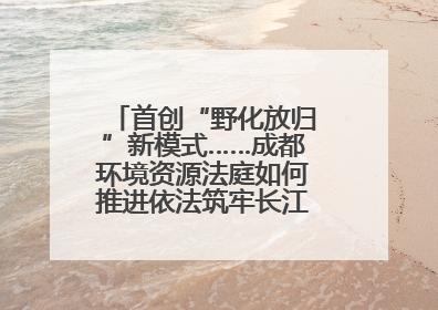 首创“野化放归”新模式……成都环境资源法庭如何推进依法筑牢长江上游生态屏障