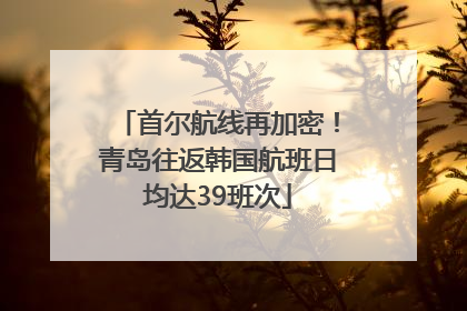首尔航线再加密！青岛往返韩国航班日均达39班次