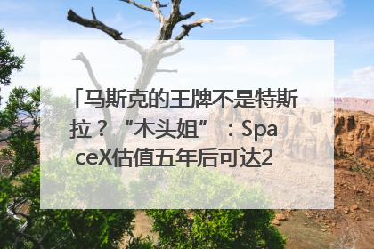马斯克的王牌不是特斯拉？“木头姐”：SpaceX估值五年后可达2.5万亿美元！