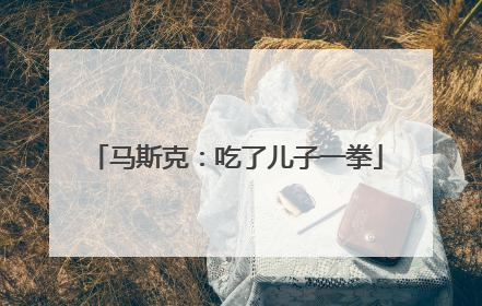 马斯克：吃了儿子一拳