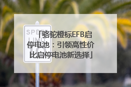 骆驼橙标EFB启停电池：引领高性价比启停电池新选择