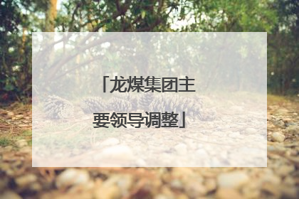 龙煤集团主要领导调整