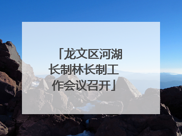 龙文区河湖长制林长制工作会议召开