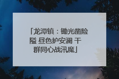 龙潭镇：锄光凿险隘 昼色护安澜 干群同心战汛魔