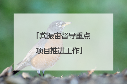 龚振宙督导重点项目推进工作