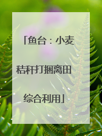 鱼台：小麦秸秆打捆离田综合利用