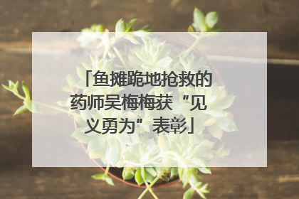 鱼摊跪地抢救的药师吴梅梅获“见义勇为”表彰