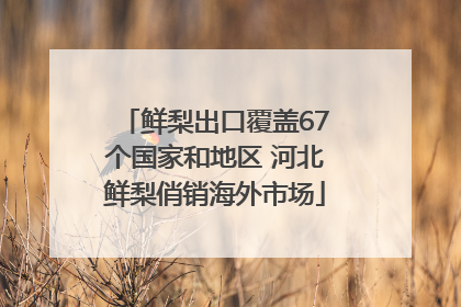 鲜梨出口覆盖67个国家和地区 河北鲜梨俏销海外市场