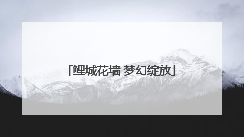 鲤城花墙 梦幻绽放