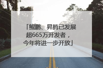 鲲鹏、昇腾已发展超665万开发者，今年将进一步开放