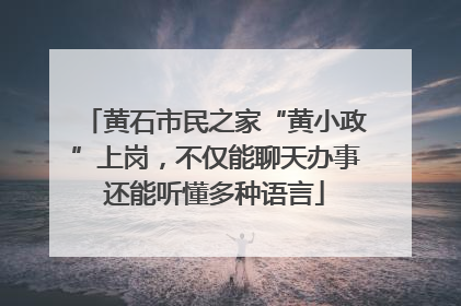 黄石市民之家“黄小政”上岗，不仅能聊天办事还能听懂多种语言