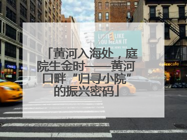 黄河入海处，庭院生金时——黄河口畔“归寻小院”的振兴密码