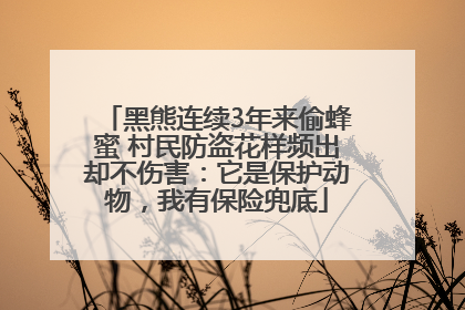 黑熊连续3年来偷蜂蜜 村民防盗花样频出却不伤害：它是保护动物，我有保险兜底