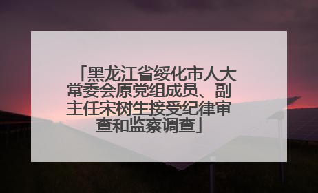 黑龙江省绥化市人大常委会原党组成员、副主任宋树生接受纪律审查和监察调查