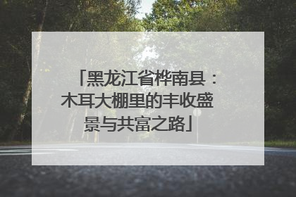 黑龙江省桦南县：木耳大棚里的丰收盛景与共富之路