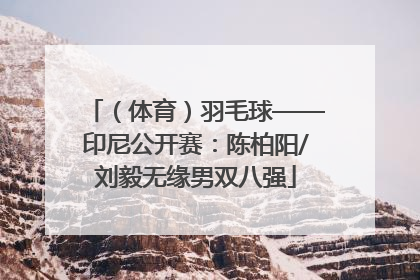 （体育）羽毛球——印尼公开赛：陈柏阳/刘毅无缘男双八强