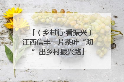 （乡村行·看振兴）江西信丰一片茶叶“沏”出乡村振兴路