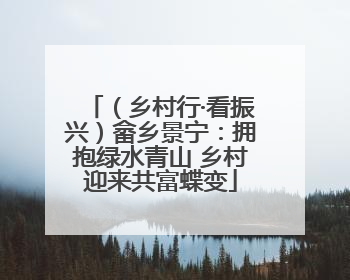 （乡村行·看振兴）畲乡景宁：拥抱绿水青山 乡村迎来共富蝶变