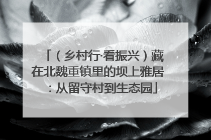 （乡村行·看振兴）藏在北魏重镇里的坝上雅居：从留守村到生态园