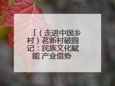 （走进中国乡村）茗新村破圈记：民族文化赋能 产业借势 “网红东风”