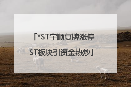 *ST宇顺复牌涨停 ST板块引资金热炒