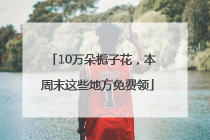 10万朵栀子花，本周末这些地方免费领