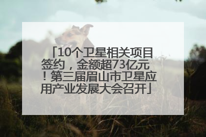 10个卫星相关项目签约，金额超73亿元！第三届眉山市卫星应用产业发展大会召开