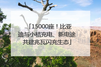 15000座！比亚迪与小桔充电、新电途共建兆瓦闪充生态