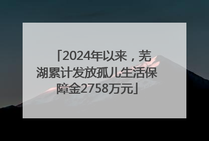 2024年以来，芜湖累计发放孤儿生活保障金2758万元