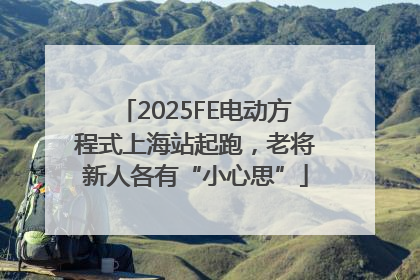 2025FE电动方程式上海站起跑，老将新人各有“小心思”