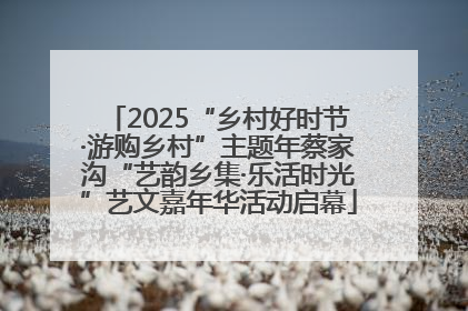 2025“乡村好时节·游购乡村”主题年蔡家沟“艺韵乡集·乐活时光”艺文嘉年华活动启幕